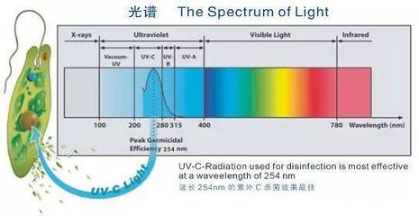 超活氧殺菌 超越紫外線燈的新一代消毒技術